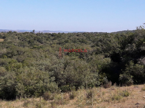 Chacra- Ref: 634