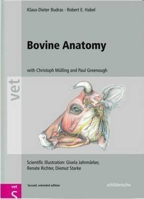 Bovine Anatomy - Klaus-dieter Budras (hardback)