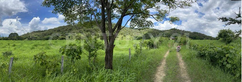 Rancho En Venta De 150 Hectareas, Villaflores, Chiapas.