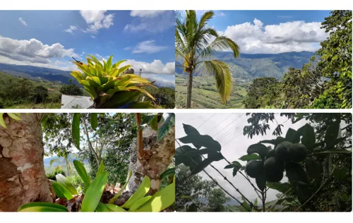 Venta De Finca De 8500mt2 En Dagua, Valle Del Cauca 6060.