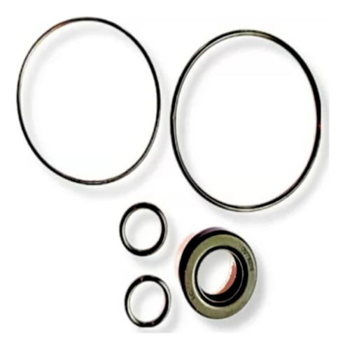 Kit Bomba Direccion Hyundai Elantra 2.4l Años 2004 Al 2006