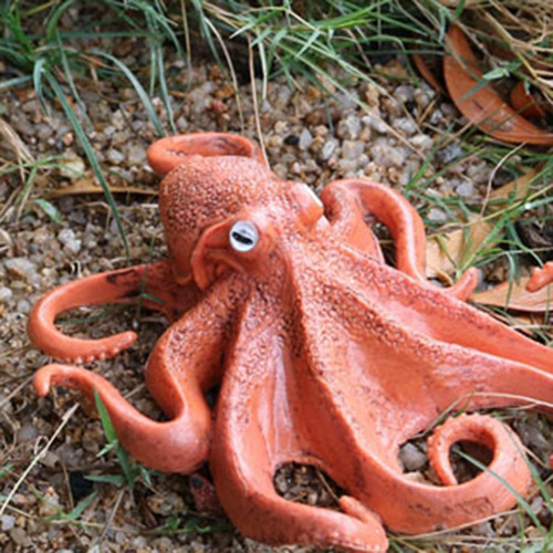 4 Del Ciclo De Vida De Un Pulpo, Insectos Plástico Pulpo