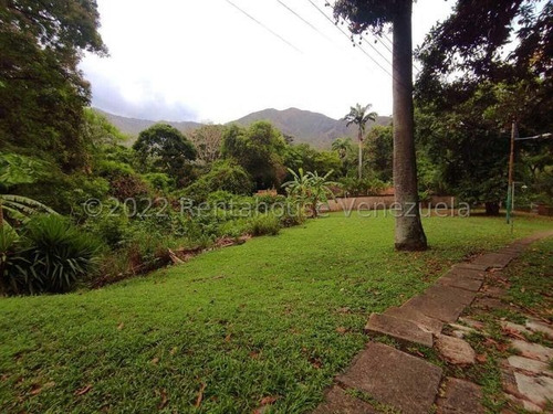 Imagen 4 de 10 de Terreno En Venta En El Castaño 22-25084 Mvs