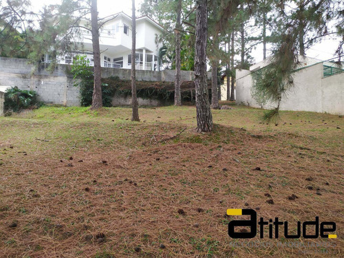 Imagem 14 de 15 de Terreno A Venda No Alphaville Residencial 10 - Santana Do Parnaíba - 5950