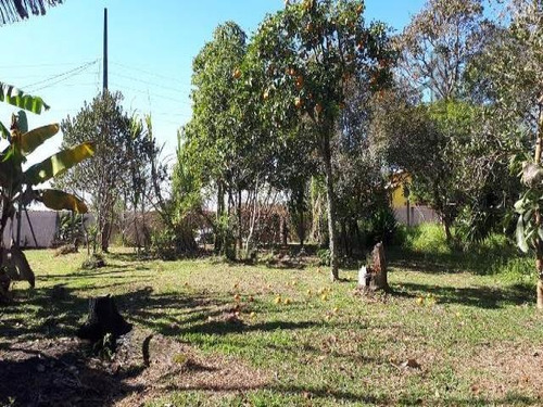 Imagem 4 de 7 de Cod 3617 - 1.000 M² De Frente Para O Asfalto! - 3617