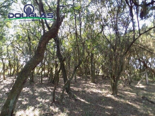 Imagem 5 de 15 de 2 Ha ,800 Mts Do Asfalto. - 845