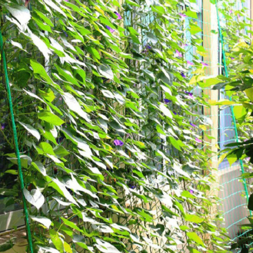 Red De Soporte Plantas Malla Enrejada Para Plantas Trepadora