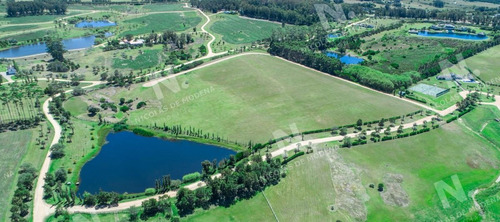 Imagen 19 de 20 de Lotes En Venta En Barrio Privado - Punta Del Este Punta Del Este