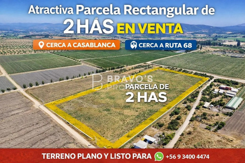 Oportunidad Venta Parcela De 2 Hás Colindante A Viña Indómit