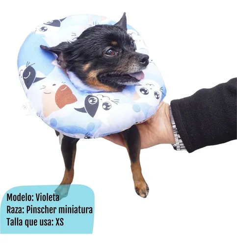 Collar Isabelino Mascota 2xl - Unidad a $54800