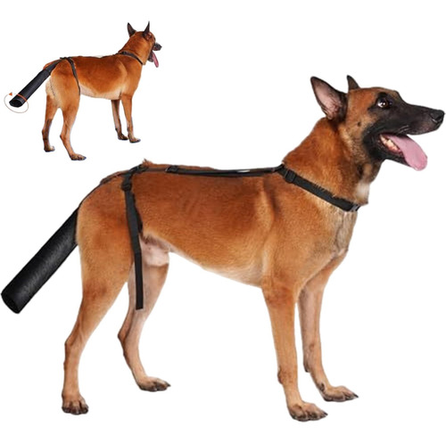 Protector De Cola De Perro, Cubierta De Cola Perro Ajustable