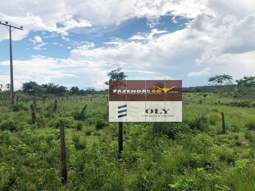 Imagem 3 de 8 de Fazenda Extra ! 54 Alqueires , Indiara-go !! - 333