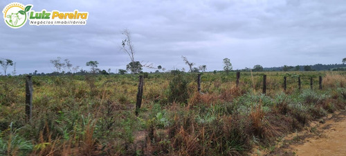 Imagem 5 de 15 de Fazenda À Venda Em Breu Branco - Pa 1.377 Hectares (dupla Aptidão) - 2271