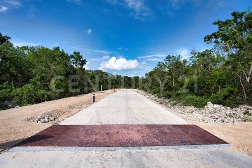 Terreno En Venta, Xpu-ha, Tulum