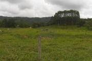 Imagem 1 de 1 de Terreno Comercial À Venda, Betel, Paulínia. - Te0397
