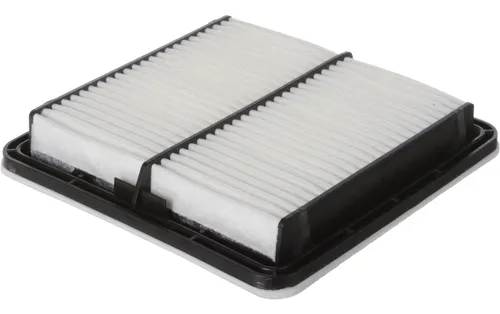 Filtro De Aire Profesional Acdelco A3109c