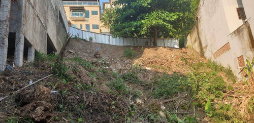Imagem 3 de 4 de Terreno À Venda, 310 M² Por R$ 650.000,00 - São Francisco - Niterói/rj - Te4893