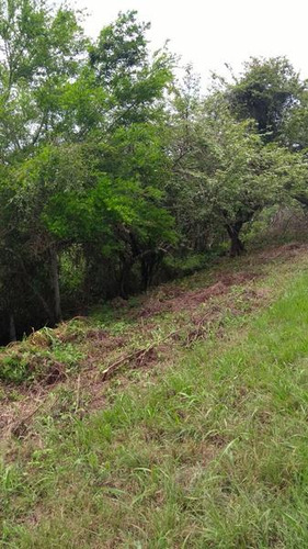 Venta Terreno 2000 M² Col. Tierra Blanca Tuxpan Veracruz.