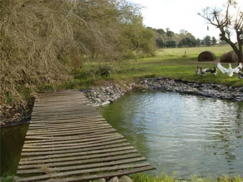 Imagen 7 de 26 de Alquiler.campo. Provincia De Buenos Aires. Ranchos