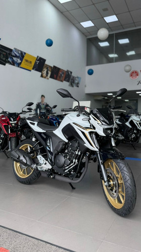 Fz25 Abs 2025 Vermelha Vend.erick