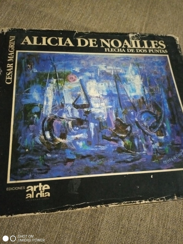 Alicia De Noailles: Flecha De Dos Puntas - Magrini - Pintura