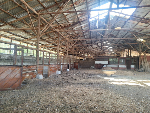 Terreno Con Gran Galpón, Bodegas, Oficinas Y Casa