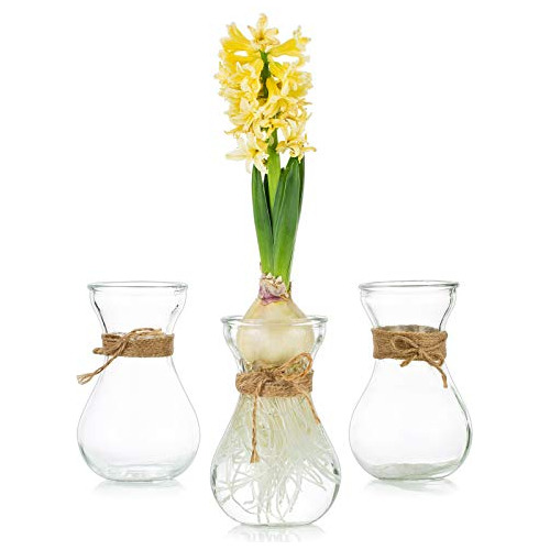 Clear Glass Vase For Flowers, Set Of 3 Bulb Vase For Fo...