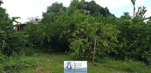 Imagem 11 de 30 de Chácara Em Parque Capivari, Duque De Caxias/rj De 100000m² 2 Quartos À Venda Por R$ 500.000,00 - Ch596274-s