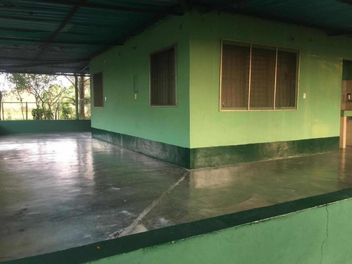 Imagen 7 de 19 de En Venta Finca De 50 Hectáreas, Ubicada En El Estado Ciojede