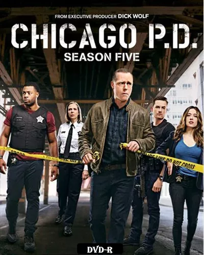 Assistir Chicago P.D.: Distrito 21: Temporada 10 online. Todas Temporadas - Tua  Serie