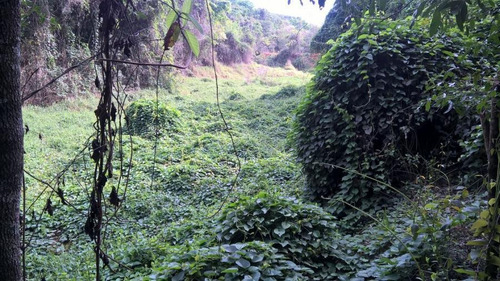 Imagem 2 de 15 de Terreno Para Venda Em Esmeraldas, Ipê Amarelo - T01_1-1005664
