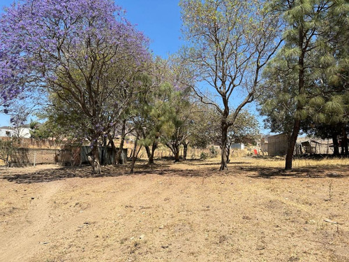 Imagen 13 de 15 de Terreno En Venta En Tesistán, Zapopan