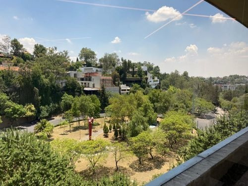 Imagen 14 de 16 de Departamento En Renta En Bosques De Las Lomas