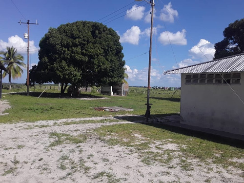 Imagen 14 de 14 de Finca En Venta - El Manteco, Estado Bolivar Fl