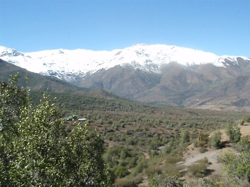 Terreno Agrícola En Venta En San Francisco De Los Andes