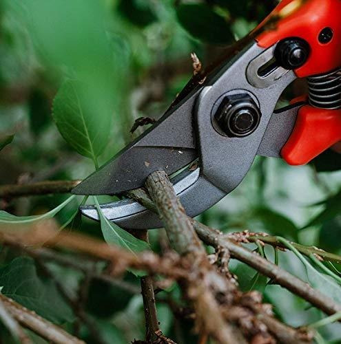 Tijera Poda Profesional Flame Bird Yunque Podadora