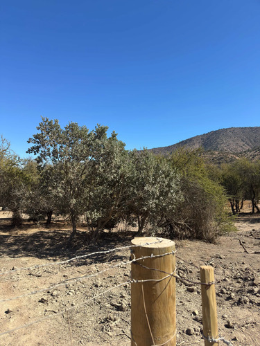 Parcelas De Agrado 10000 M2 Curacavi Ruta 68 (176809)