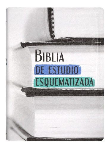Biblia De Estudio Esquematizada Rvr-1960 Imit. Piel C/indice