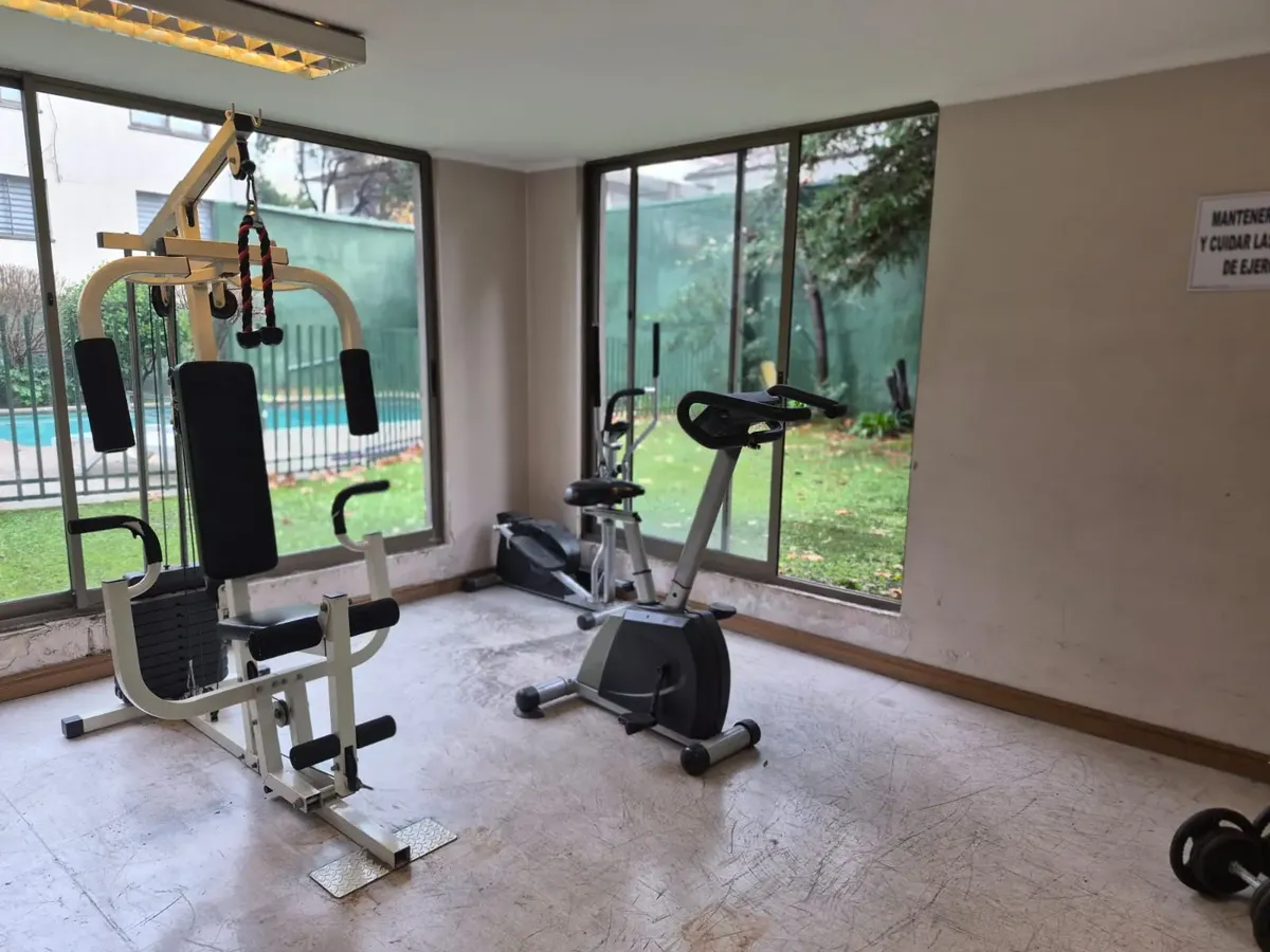 Imagen 2 de 17 de Arriendo 1 Dorm Dario U/ Pedro De Valdivia Metro Est Y Bga