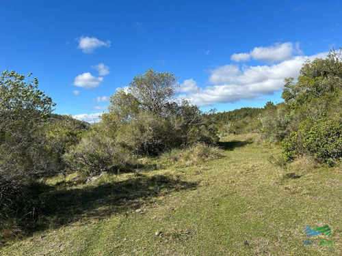 Imagen 8 de 24 de Lindo Campo Para Fraccionar, Sobre Ruta Y A Poco Mas De 1 Hora De Punta