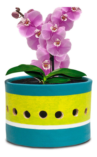 Maceta Perforada Para Orquídeas