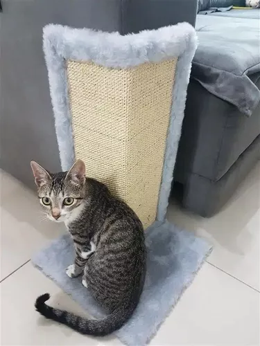 Protector De Sofá Rascador Esquinero Para Gatos + Obsequio