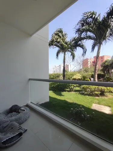 Apartamento En Venta En La Floresta. Cod V30309