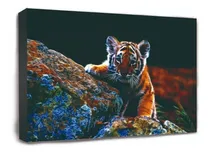 Comprar Cuadro De Animales - Modelos Tigres - Tambien Otros Animales