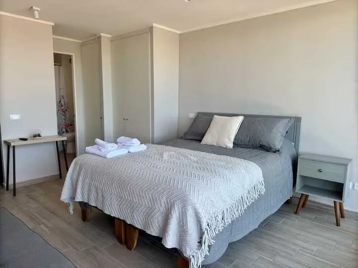 Imagen 3 de 19 de Depto 28 M² Opción Amoblado $300.000 (170853)