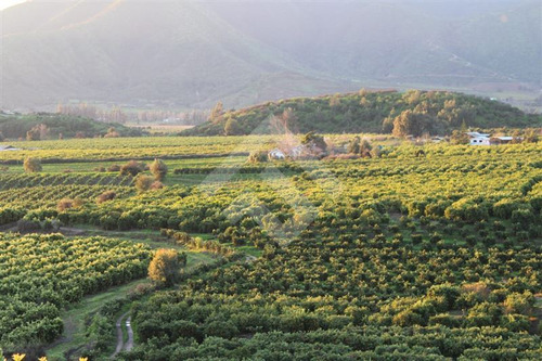 Venta, Parcela Agrícola, Mallarauco, Melipilla