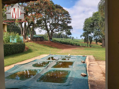 Imagem 15 de 30 de Linda Chácara Com 05 Dormitórios, Piscina, Área Gourmet, Pomar, Ótima Localização, À Venda, 9000 M² Por R$ 500.000 - Zona Rural - Pinhalzinho/sp - Ch0851