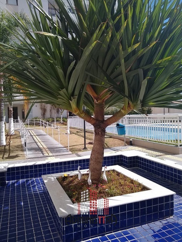 Imagem 2 de 15 de Apartamento A Venda Mirante Stª Rosália Sorocaba - Ap-2400-1