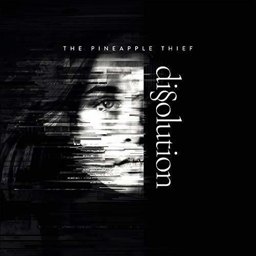 Lp Dissoultion - The Pineapple Thief