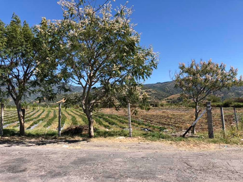 Imagen 5 de 14 de Terreno Carretera Tenancingo - Zumpahuacan Km 15